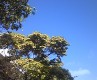 100902_071727.jpg