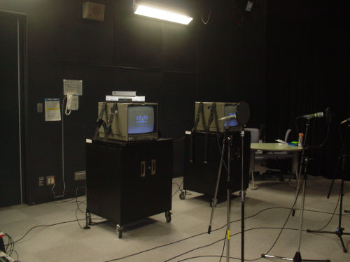 マイクとテレビ